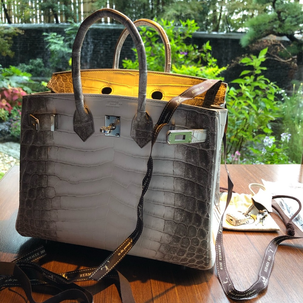 Hermes Himalaya Birkin 25 NEW